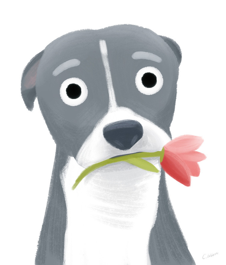 Tuổi Tuất hãy thử cách thức làm mới, sẽ có nhiều điều bất ngờ. Tài lộc tăng đáng kể, con giáp hãy dành một món quà cho chính mình.