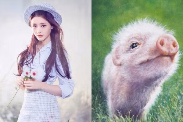 Tuổi Hợi: Người tuổi Hợi cần cù, thông minh, không thích tính toán so đo với người khác nên con giáp này được nhiều người yêu quý, ngoài ra, con giáp này bẩm sinh đã mang số mệnh may mắn, giàu sáng nên rất giỏi trong kiếm tiền và quản lý tài chính.