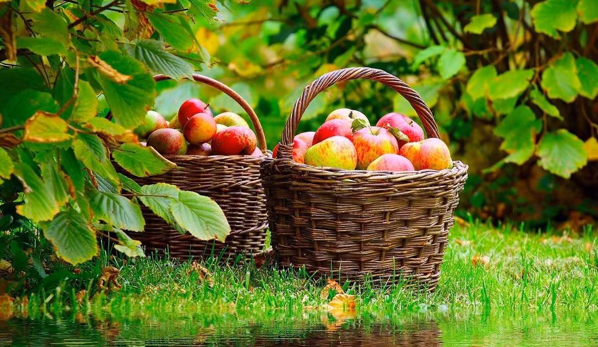 Tuổi Ngọ: Công việc: công việc thuận lợi. Tài vận: có thể bỏ ra số tiền nhỏ để thử đầu tư. Tình cảm: người đã kết hôn nên cẩn trọng trong các mối quan hệ khác giới. Ảnh: image.baidu.com.