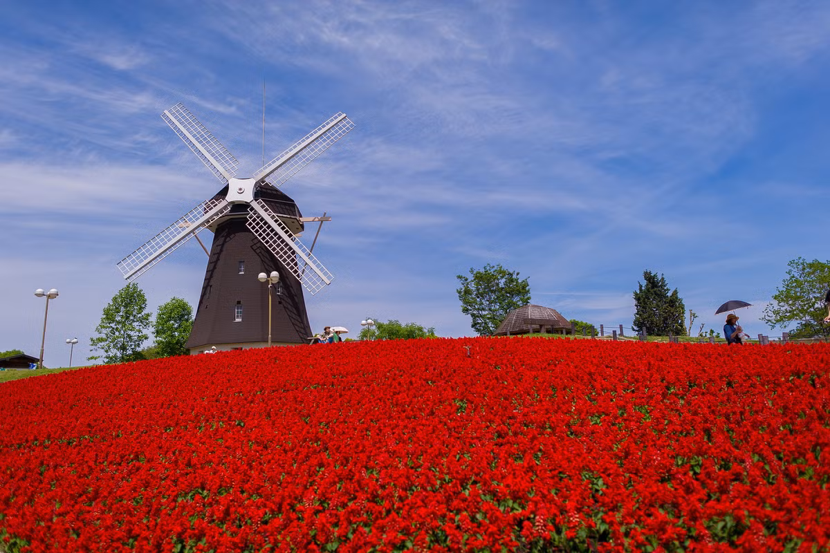 Tháng 5 là thời điểm thuận lợi cho người tuổi Dậu, không những tài vận đại hồng phát, mà vận thế cũng khởi sắc mạnh mẽ. Nếu như trước đây còn có khúc mắc gì, thì trong thời gian này đều được giải quyết ổn thỏa. Ảnh: miriadna.com. (Bài viết chỉ mang tính tham khảo, cung cấp nội dung trắc nghiệm vui cho bạn đọc).