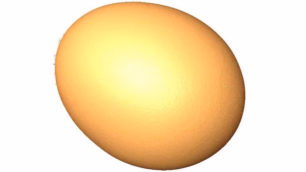 Chất lỏng này được cho là hỗn hợp của lòng đỏ và lòng trắng. Ngoài ra, hỗn hợp này còn xuất hiện cả bong bóng khí. Ảnh: @Oxford Archaeology.