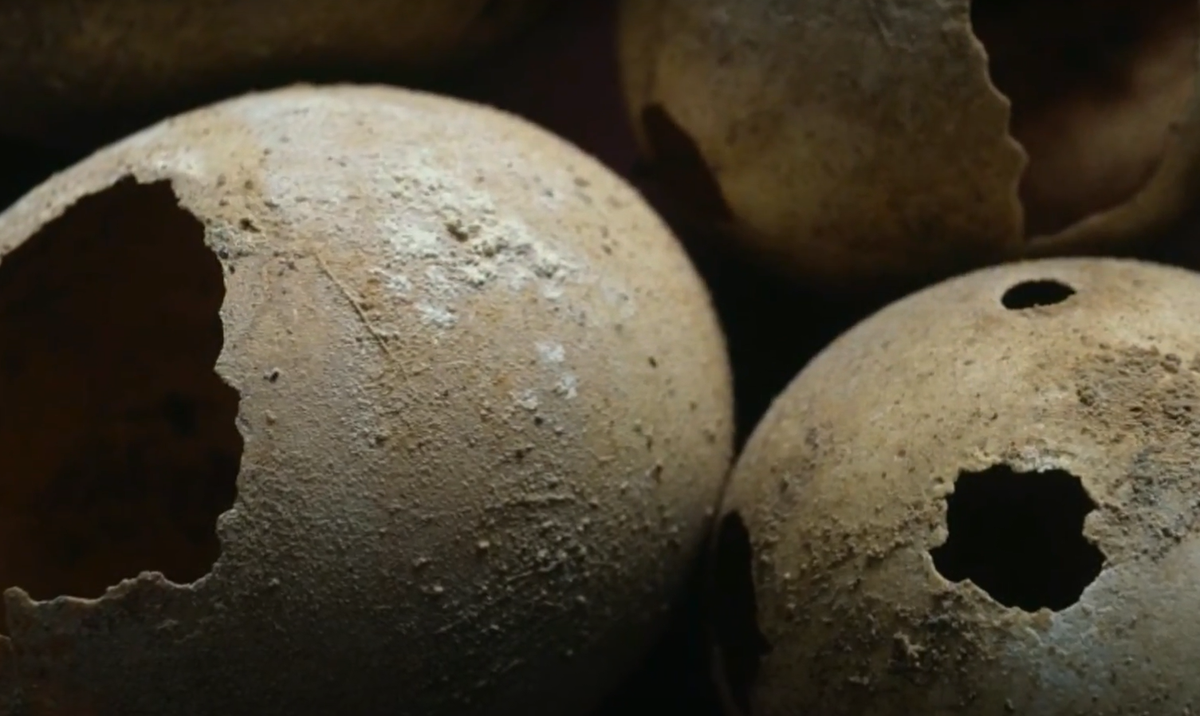 Chuyên gia Dana Goodburn-Brown cũng bày tỏ sự phấn khích trước tiềm năng của quả trứng trong việc làm sáng tỏ các loài chim cổ đại và ý nghĩa sinh thái của chúng. Ảnh: @Oxford Archaeology.