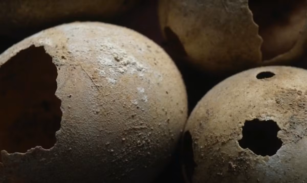 Chuyên gia Dana Goodburn-Brown cũng bày tỏ sự phấn khích trước tiềm năng của quả trứng trong việc làm sáng tỏ các loài chim cổ đại và ý nghĩa sinh thái của chúng. Ảnh: @Oxford Archaeology.