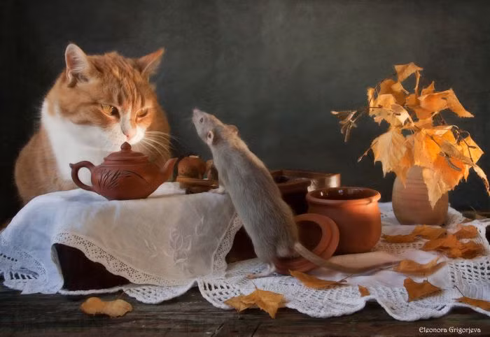  Tuổi Mão: Dự đoán ngày mới cho tử vi 12 con giáp chúc mừng, hôm nay bạn sẽ thắng lợi giòn giã trong cả sự nghiệp và sức khỏe. Sếp giao việc gì, dù khó cỡ nào, bạn cũng dễ dàng hoàn thành, tài vận thăng hoa, tiền vào như nước sông Đà. Cộng sự nể phục, cấp trên tin yêu, nhưng riêng với nửa kia, bạn lại “nhũn như chi chi”. 