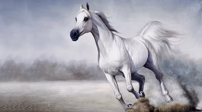 Chính vì thế, tiền bạc không phải là vấn đề gây đau đầu, bởi làm gì, đi đến đâu cơ hội làm giàu cũng đến với người tuổi Ngọ.