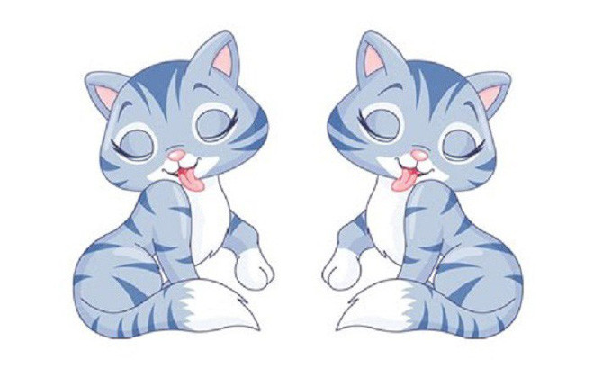 Con giáp này khi được sinh ra đã liên tiếp mang lại vận may cho người thân trong gia đình. Cuộc sống gia đình của người tuổi Mão sẽ càng ngày càng trở nên hạnh phúc, đầy đủ và giàu có. (Bài viết chỉ mang tính tham khảo, cung cấp nội dung trắc nghiệm vui cho bạn đọc). 