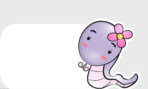 Tuy không có được nhiều cơ hội như hai tuổi trên, nhưng không phải không có cơ hội tốt để tuổi Tỵ thay đổi vận thế hiện tại trong chuyện tình cảm.