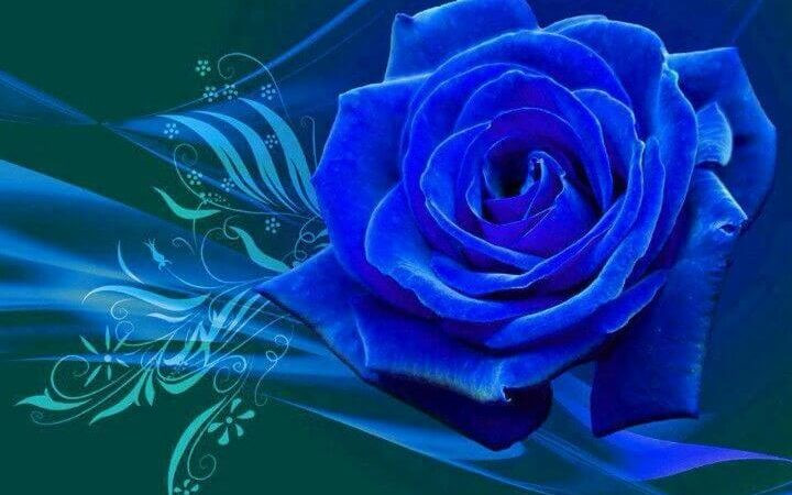 Mặc dù sinh trưởng trong gia đình giàu có nhưng người có ngày sinh này lại rất chăm chỉ, khiêm tốn nên luôn đạt được những thành tích xuất sắc nhất trong học tập cũng như trong công việc do đó sẽ nhanh chóng tạo dựng cho mình một sự nghiệp thành công với gia tài kếch xù.