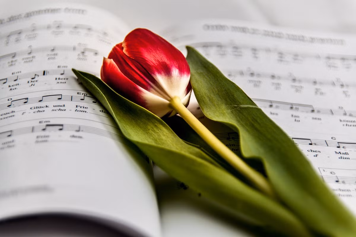 Tuổi Mão: Người tuổi Mão tâm địa thiện lương, tốt bụng. Bước vào tháng 7/2018, người tuổi Mão không những được thần tài phù hộ mà những chuyện đen đủi trong gia đình cũng được hóa giải. Ảnh: pexels.com. 