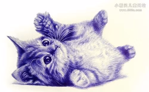 Tuổi Mão: Thời gian sau rằm tháng 7 âm lịch, người tuổi Mão cần đặc biệt chú ý đến sức khỏe của bản thân. Con giáp này nên đi kiểm tra sức khỏe để tránh những tình huống phát sinh ngoài ý muốn. 