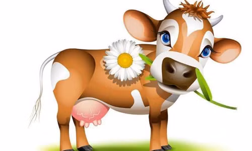 Nhưng nói vậy không có nghĩa là con giáp cố ăn thật nhiều để phát tướng. Mà bản chất tuổi Sửu thường sẽ có dáng vóc nảy nở đầy sức sống, nếu ép cân quá đà sẽ gầy gò, thiếu phúc khí. Thay vì cố giảm cân tiêu cực, con giáp có thể tập thể dục và ăn uống có kế hoạch để có cơ thể săn chắc nhưng vẫn đầy đặn.