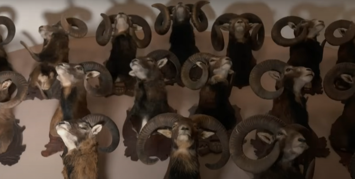 Nguồn gốc của lâu đài vẫn còn là một bí ẩn. Tuy nhiên, danh tiếng về sự rùng rợn của nó vẫn tồn tại qua nhiều thời đại, được thúc đẩy bởi những câu chuyện về các thực thể ma quỷ, cổng địa ngục liên quan đến pháo đài. Ảnh: @Discovery UK.