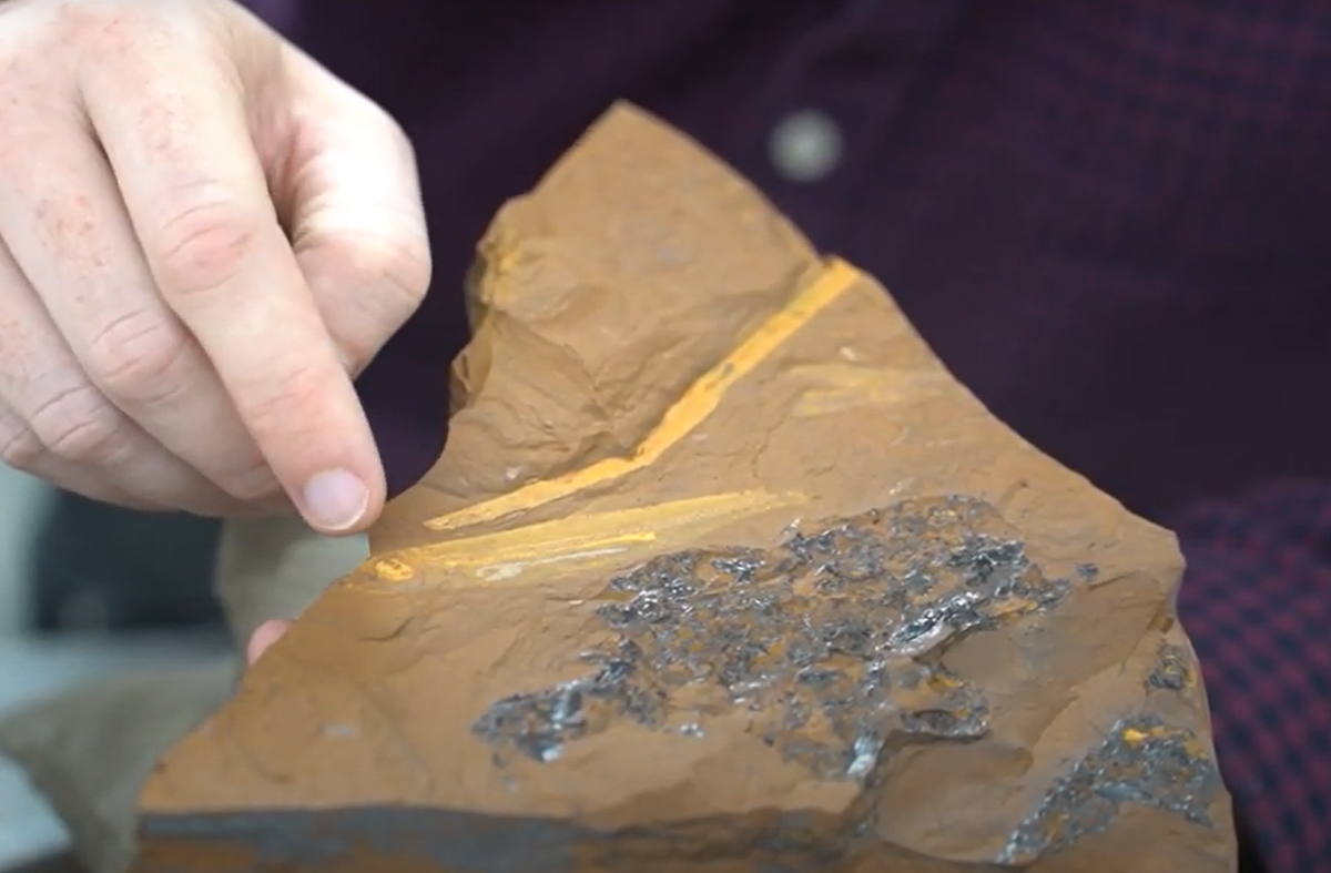 “Nghiên cứu này cũng giúp hiểu quá trình tiến hóa của các loài cá ở đây, đặc biệt là bộ cá Osmeriformes trong kỷ Miocene, cách đây 11-15 triệu năm trước”. Ảnh: @Matthew McCurry.