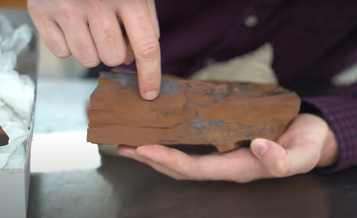 Tiến sĩ Matthew McCurry, tác giả nghiên cứu chính chia sẻ: "Việc phát hiện ra hóa thạch cá nước ngọt có niên đại 15 triệu năm mang đến cho chúng ta cơ hội chưa từng có để hiểu về hệ sinh thái cổ đại Úc”. Ảnh: @Matthew McCurry.