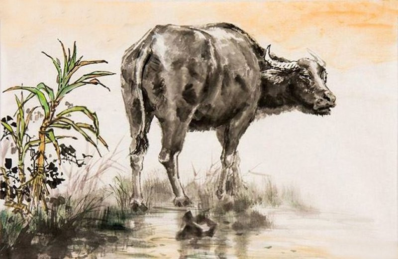 Tuổi Sửu: Tháng này do bước vào cục diện “Dậu Kim Hợp Thân” hơn nữa lại có cát tinh phù hộ nên người tuổi Sửu được quý nhân giúp đỡ rất nhiều trong sự nghiệp cũng như tài vận.