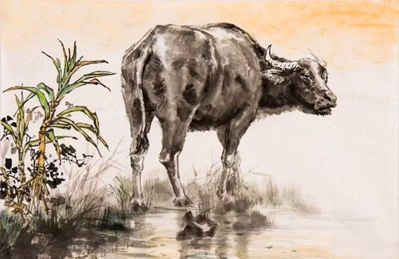 Tuổi Sửu: Tháng này do bước vào cục diện “Dậu Kim Hợp Thân” hơn nữa lại có cát tinh phù hộ nên người tuổi Sửu được quý nhân giúp đỡ rất nhiều trong sự nghiệp cũng như tài vận.