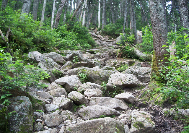 Túp lều Lake of the Clouds, ở New Hampshire không chỉ là nơi lý tưởng dừng chân để ngắm nhìn quang cảnh núi non, mà nó còn trở thành bối cảnh cho những câu chuyện ma quái, rùng rợn. Ảnh: @onlyinyourstate.com.