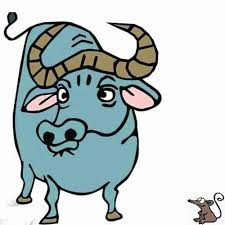 Sức khỏe: Đại cát. (Thông tin trong bài chỉ mang tính tham khảo).