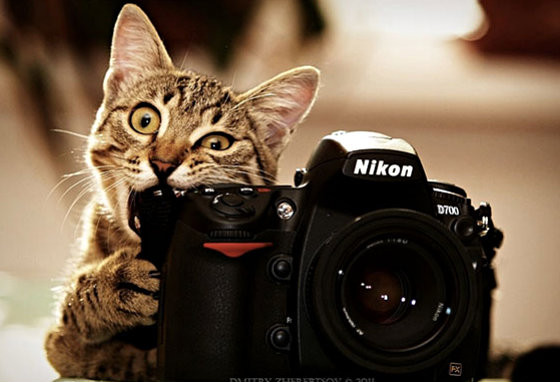  Tuổi Mão: Dự đoán ngày mới cho 12 con giáp vui mừng khi thấy bạn sẽ có tài chính khởi sắc, dù chi khá bộn nhưng gặt hái cũng nhiều. Hãy tỉnh táo trong việc chọn đối tác, lựa bạn tình, mọi chuyện càng về cuối ngày càng ổn.