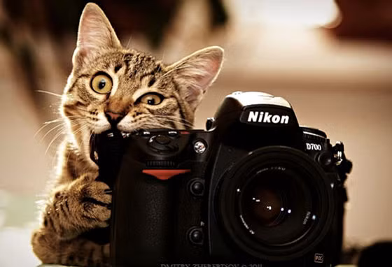  Tuổi Mão: Dự đoán ngày mới cho 12 con giáp vui mừng khi thấy bạn sẽ có tài chính khởi sắc, dù chi khá bộn nhưng gặt hái cũng nhiều. Hãy tỉnh táo trong việc chọn đối tác, lựa bạn tình, mọi chuyện càng về cuối ngày càng ổn.