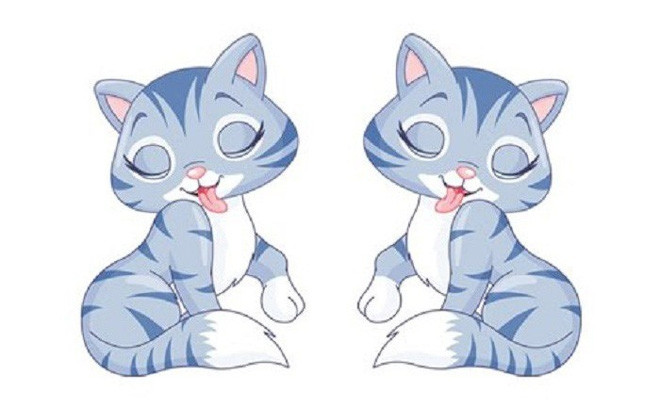  Tuổi Mão: Mạnh dạn học hỏi, quyết đoán hơn trong công việc là từ khóa giúp tuổi Mão đón nhận những niềm vui mới trong công việc và tài chính. Điều đáng mừng là họ có nửa kia tâm lý, sẵn sàng chia sẻ đắng cay ngọt bùi.