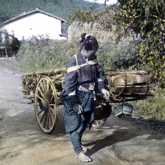 Một người phụ nữ Nhật Bản đang kéo xe củi về nhà. Ảnh: sina.com.cn.