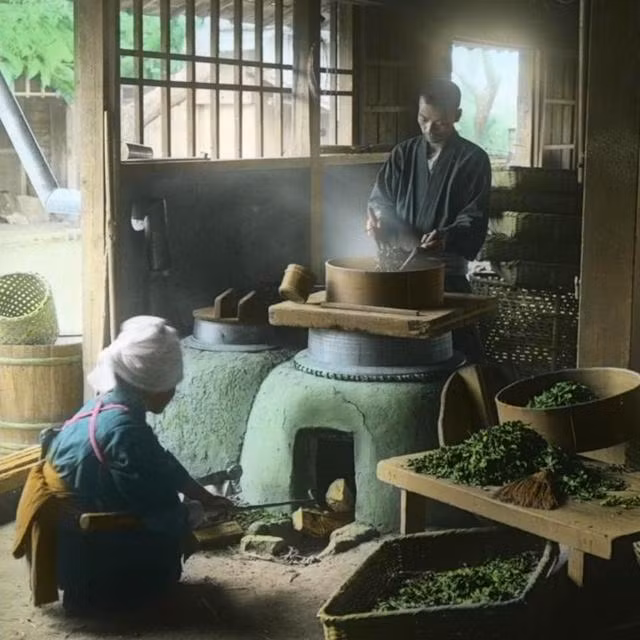 Hai vợ chồng người Nhật Bản trong xưởng sản xuất chè. Ảnh: sina.com.cn.