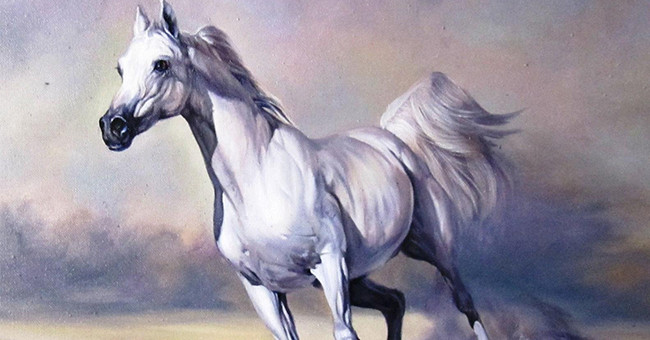 Tuổi Ngọ tinh thần sa sút, dễ suy nghĩ lung tung, có thể ảnh hưởng tiến độ công việc. Hãy dành thời gian bàn bạc với đồng nghiệp, sẽ giúp đưa con giáp về đúng quỹ đạo. Tài lộc tăng tiến, tuổi Ngọ biết phân phối thu nhập hợp lý, tích lũy được một khoản đáng kể.