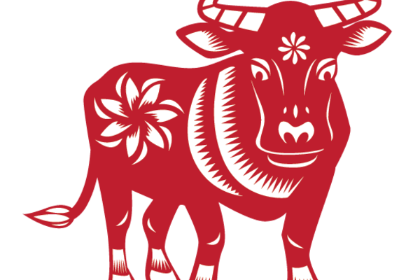 Đồng thời, bước sang năm 2022, các khoản chi phí của người tuổi Sửu cũng không quá nhiều nên con giáp này sẽ có trong tay khối tiền bạc kếch xù.