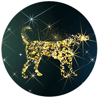 Tuổi Tuất: Dưới sự ảnh hưởng của Hình thái tuế, vận thế của người tuổi Tuất có phần đi xuống. Dù đã rất nỗ lực, cố gắng nhưng lại không thể có được kết quả như mong đợi. Trong năm 2021, con giáp này còn chịu tổn thất về tài vận do các tác động khách quan bên ngoài, do đó nên có kế hoạch chi tiêu hợp lý, tránh rơi vào cảnh rỗng túi. (Bài viết chỉ mang tính tham khảo, cung cấp nội dung trắc nghiệm vui cho bạn đọc). 