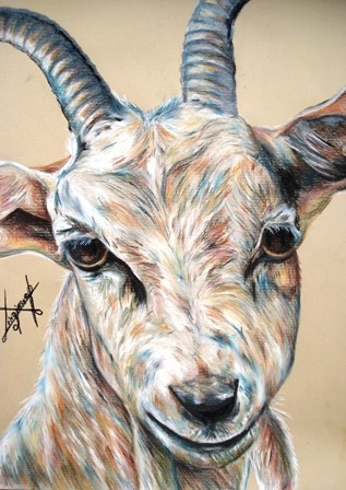 Tuổi Mùi đừng nóng giận và chú ý hơn đến thái độ làm việc. Con giáp hãy tranh thủ sự giúp đỡ của người khác để thay đổi tình hình kinh tế của bản thân.