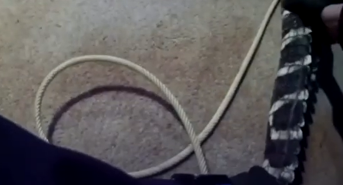 Charles Price, chủ nhà chịu trách nhiệm nuôi nhốt con thú đã nhanh chóng bị buộc tội là sở hữu trái phép động vật hoang dã. Tuy nhiên, ông khẳng định rằng mình đã chăm sóc nó rất tốt. Ảnh: @The Straits Times.