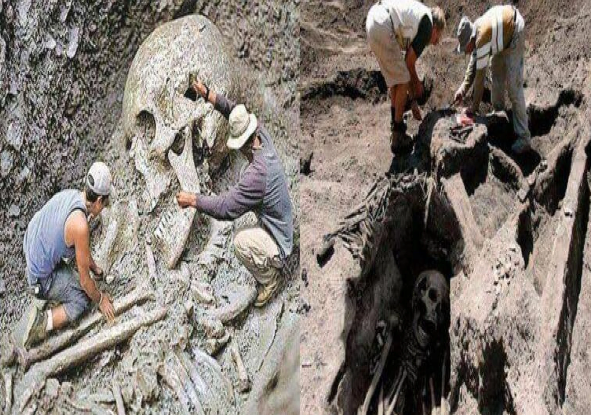 Các bài báo từ thế kỷ 19 và đầu thế kỷ 20 ở New York và California thường đưa tin về những bộ xương khổng lồ được khai quật, thúc đẩy suy đoán về những người khổng lồ cổ đại từng sống trên Trái đất. Ảnh: @brutimes.