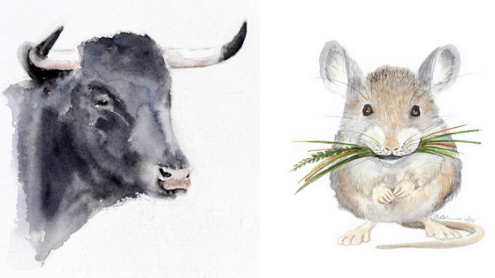 Khi Tý và Sửu cùng kinh doanh sẽ phát triển công việc kinh doanh ngày một rộng mở, tạo ra nhiều đột phá cũng như thu về không ít lợi nhuận. 