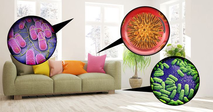 Các chuyên gia của Trung tâm Phát triển Sáng tạo xanh (GreenID) cho biết, tại Mỹ, Cục Bảo vệ Môi trường ước tính tình trạng ô nhiễm không khí trong nhà có thể cao gấp 8 lần ô nhiễm không khí ngoài trời.