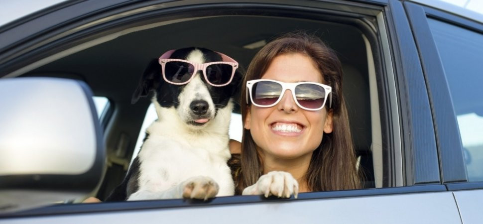 Chỉ cần người tuổi Dậu biết nắm bắt lấy cơ hội, chắc chắn tiền đồ, tiền tài của họ sẽ không ngừng mở rộng. Lúc này có muốn sống một cuộc sống bình lặng, giản đơn cũng không được bởi phúc khi bẩm sinh đã mang lại cho người tuổi Dậu cuộc sống sung túc, giàu sang. Ảnh: baidu.com. (Bài viết chỉ mang tính tham khảo, cung cấp nội dung trắc nghiệm vui cho bạn đọc).