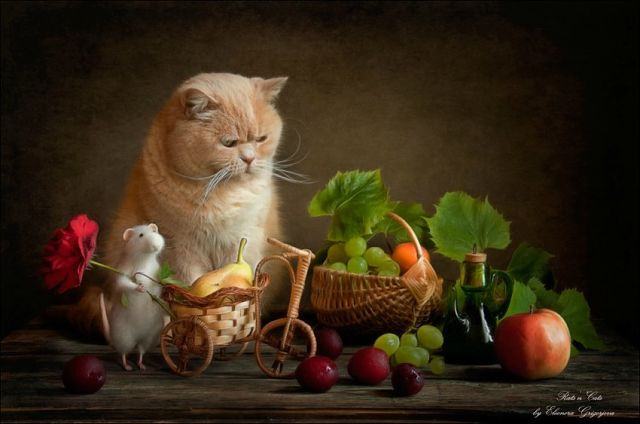  Tuổi Mão: Dự đoán ngày mới tử vi 12 con giáp nhắc nhỏ, chú ý đến những thay đổi trong tâm trạng, sống bao dung và tình cảm hơn với nửa kia. Vận may trong công việc giảm dần, các đối tác không có chiến lược hay hồi đáp rõ ràng nên phải cực kì cẩn thận. Đừng tham lam, bị đồng tiền làm mờ lý trí, kinh tế chỉ ở mức vừa tầm. 