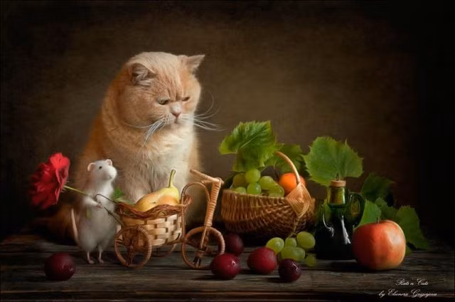  Tuổi Mão: Dự đoán ngày mới tử vi 12 con giáp nhắc nhỏ, chú ý đến những thay đổi trong tâm trạng, sống bao dung và tình cảm hơn với nửa kia. Vận may trong công việc giảm dần, các đối tác không có chiến lược hay hồi đáp rõ ràng nên phải cực kì cẩn thận. Đừng tham lam, bị đồng tiền làm mờ lý trí, kinh tế chỉ ở mức vừa tầm. 