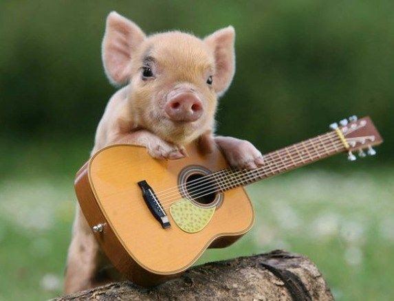  Tuổi Hợi: Dự đoán ngày mới tử vi 12 con giáp chúc mừng vì hôm nay sẽ rất hạnh phúc, đắm chìm trong những lời yêu thương ngọt ngào. Áp lực công việc giảm tải, tài sản tăng lên rõ rệt, bạn chi tiêu cũng tiết kiệm, tằn tiện nên “một vốn đem lại bốn lời”. * Thông tin chỉ mang tính chất tham khảo, chiêm nghiệm