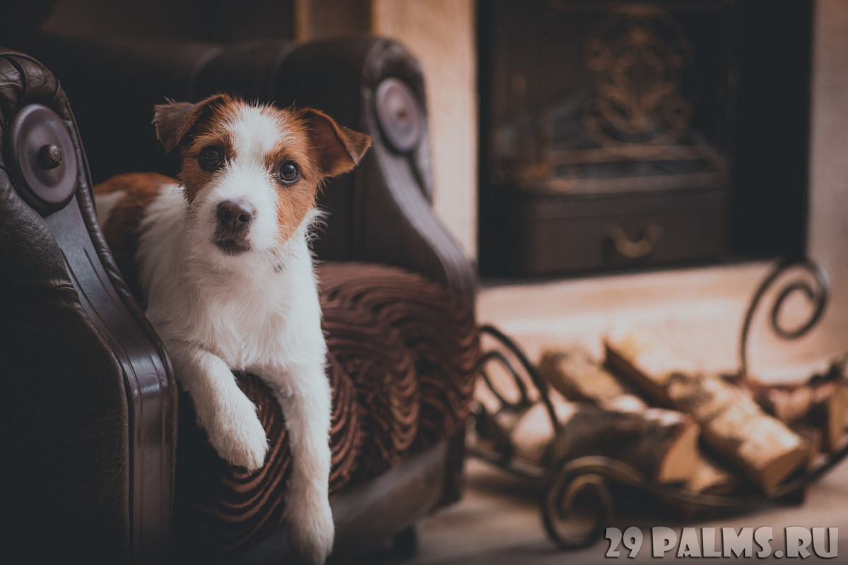  Tuổi Tuất: Bạn luôn là con giáp rất có trách nhiệm trong tình cảm, đó là nét hấp dẫn, duyên ngầm ít ai chống đỡ nổi. Vận may sự nghiệp tăng lên cao, cấp trên nâng đỡ giúp cho nhiều ý tưởng của bạn được công nhận. Hãy thư giãn sau giờ làm, đừng ăn mừng quá đà, tránh hại sức khỏe.