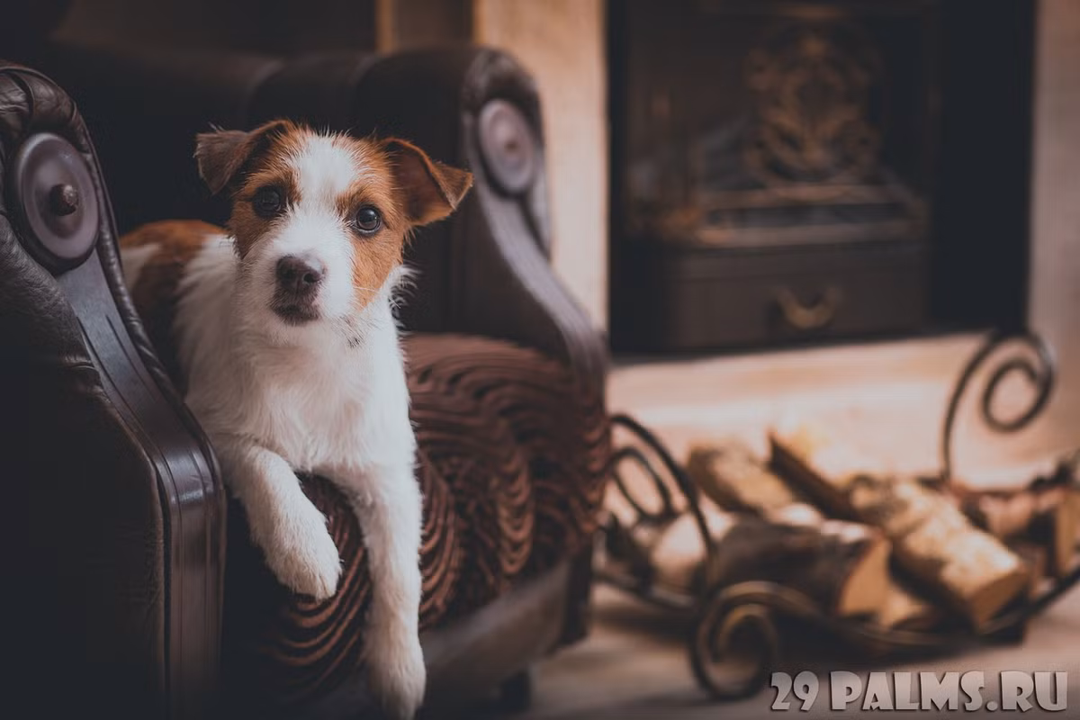  Tuổi Tuất: Bạn luôn là con giáp rất có trách nhiệm trong tình cảm, đó là nét hấp dẫn, duyên ngầm ít ai chống đỡ nổi. Vận may sự nghiệp tăng lên cao, cấp trên nâng đỡ giúp cho nhiều ý tưởng của bạn được công nhận. Hãy thư giãn sau giờ làm, đừng ăn mừng quá đà, tránh hại sức khỏe.