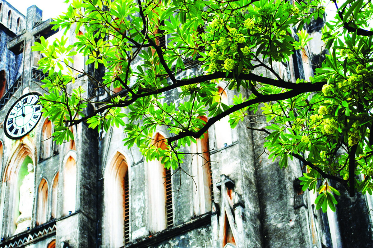 Tuổi Mão: Công việc: xảy ra tranh cãi, bất đồng quan điểm trong công việc. Tài vận: ngày xấu không thích hợp cho việc đầu tư kiếm lời. Tình cảm: chuyện tình cảm không tốt. Ảnh: dulichbaitho.com. 