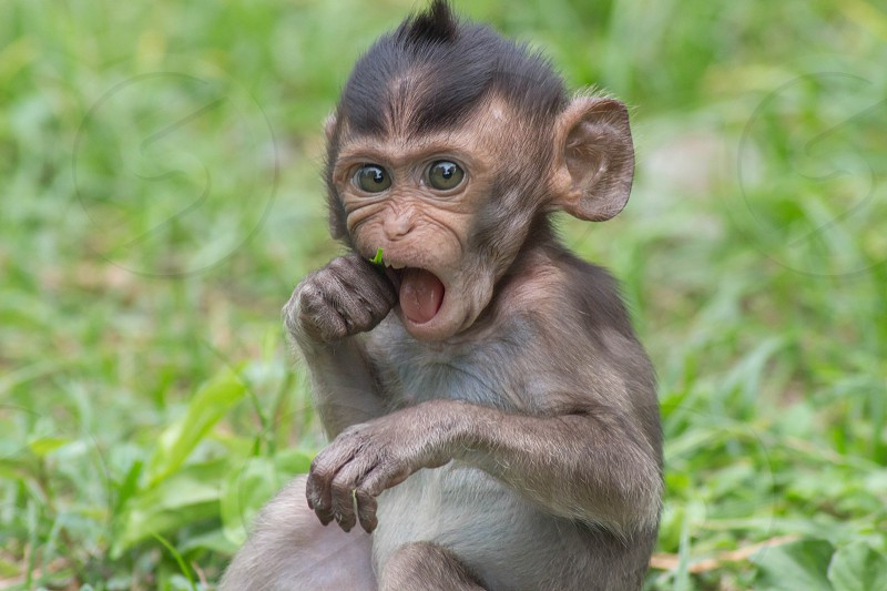 Tuổi Thân cố gắng làm việc, sẽ được ghi nhận. Tiền bạc hôm nay đồng loạt đổ về, con giáp đã có thể yên tâm có một khoản tích trữ để dùng khi cần đến.