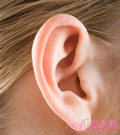 Người có lỗ tai vừa to rộng và sâu có sự nghiệp thuận buồm xuôi gió, cả đời không bao giờ phải lo lắng về chuyện tiền bạc bởi họ bẩm sinh đã mang mệnh phú quý. Chỉ cần nắm bắt được cơ hội, họ rất có thể trở thành người làm rạng danh tổ tông. Ảnh: hangzhou.com.cn. 