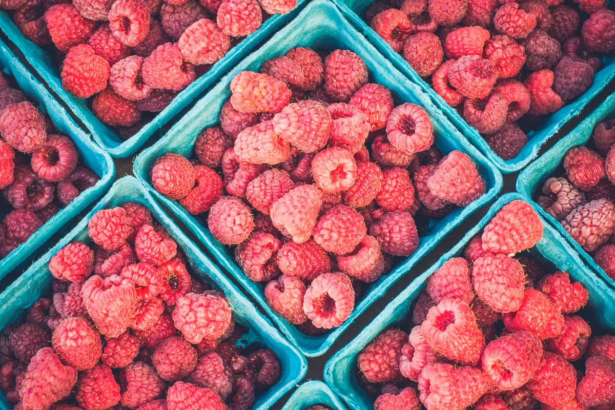 Theo dự đoán ngày mới 05/06/2018 cho 12 con giáp được đăng tải trên trang SMXS (Trung Quốc), hôm nay không thuận lợi cho việc đàm phán, hợp tác làm ăn của người tuổi Tý. Tài vận: nên giữ chặt ví tiền để tránh rơi vào tình trạng “phá sản”. Tình cảm: dễ xảy ra tranh cãi, hiểu nhầm. Ảnh: pexels.com.