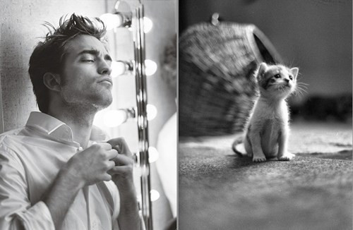  Tuổi Mão: Người nam tuổi Mão là người tương đối chặt chẽ, một khi đã quyết định điều gì sẽ không dễ dàng từ bỏ, vì thế con giáp này rất coi trọng sự chung thủy, chân thành trong hôn nhân.