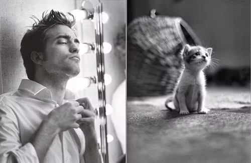  Tuổi Mão: Người nam tuổi Mão là người tương đối chặt chẽ, một khi đã quyết định điều gì sẽ không dễ dàng từ bỏ, vì thế con giáp này rất coi trọng sự chung thủy, chân thành trong hôn nhân.