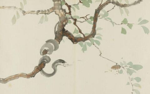 Tuổi Tỵ: Do ngũ hành của người tuổi Tỵ là “Tỵ Hỏa” tức Âm Hỏa, còn năm Tuất lại là “Tuất Thổ” là Dương Thổ, mà Hỏa Tỵ sinh Dương Thổ, âm dương tương hợp nên con giáp này sẽ “gặp hung hóa cát”.