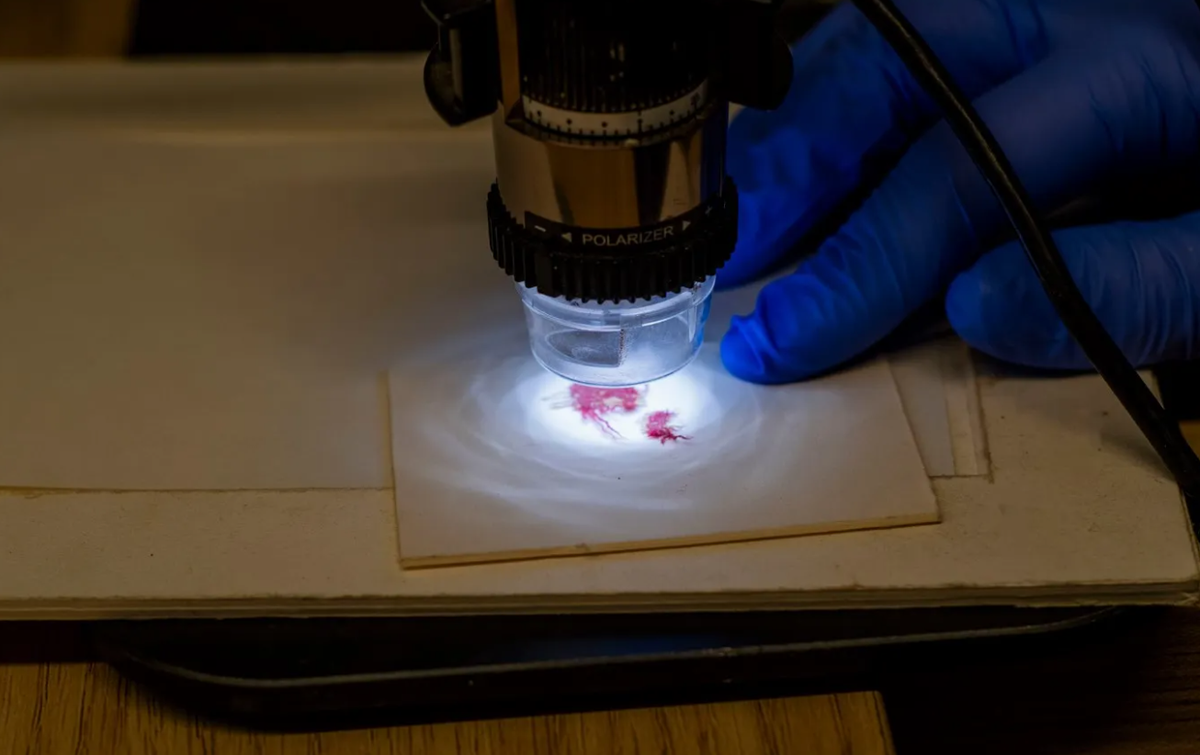 Bằng cách sử dụng Thiết bị Công Nghệ Sắc Ký Lỏng Hiệu Suất Cao (HPLC), vốn là một thiết bị thường được sử dụng trong các phòng thí nghiệm sinh học và hóa học để tách, và xác định các chất với số lượng nhỏ, và nó cũng phục vụ cho khảo cổ học, Tiến sĩ Sukenik cùng cộng sự đã xác định chính xác nguồn gốc của thuốc nhuộm đỏ trên mảnh vải này. Ảnh: @Cơ quan Cổ vật Israel (IAA).