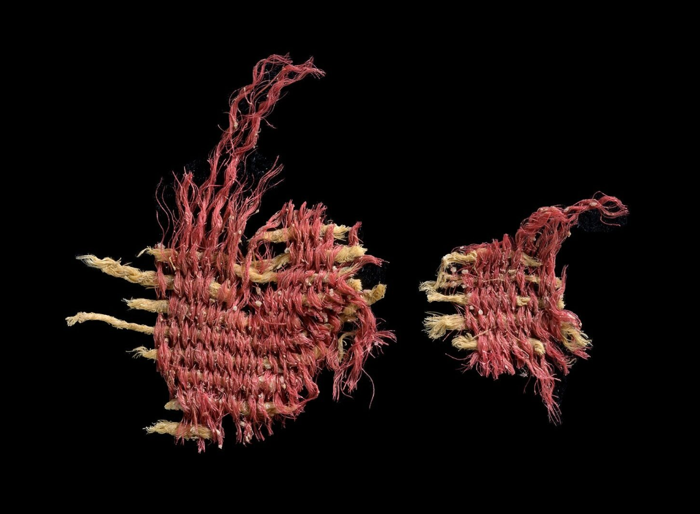 Mảnh vải được phát hiện trong "Hang Đầu Lâu", trong quá trình khai quật bảo vệ di vật khảo cổ hang động khỏi nạn cướp bóc ở Sa mạc Judean. Ảnh: @Cơ quan Cổ vật Israel (IAA).